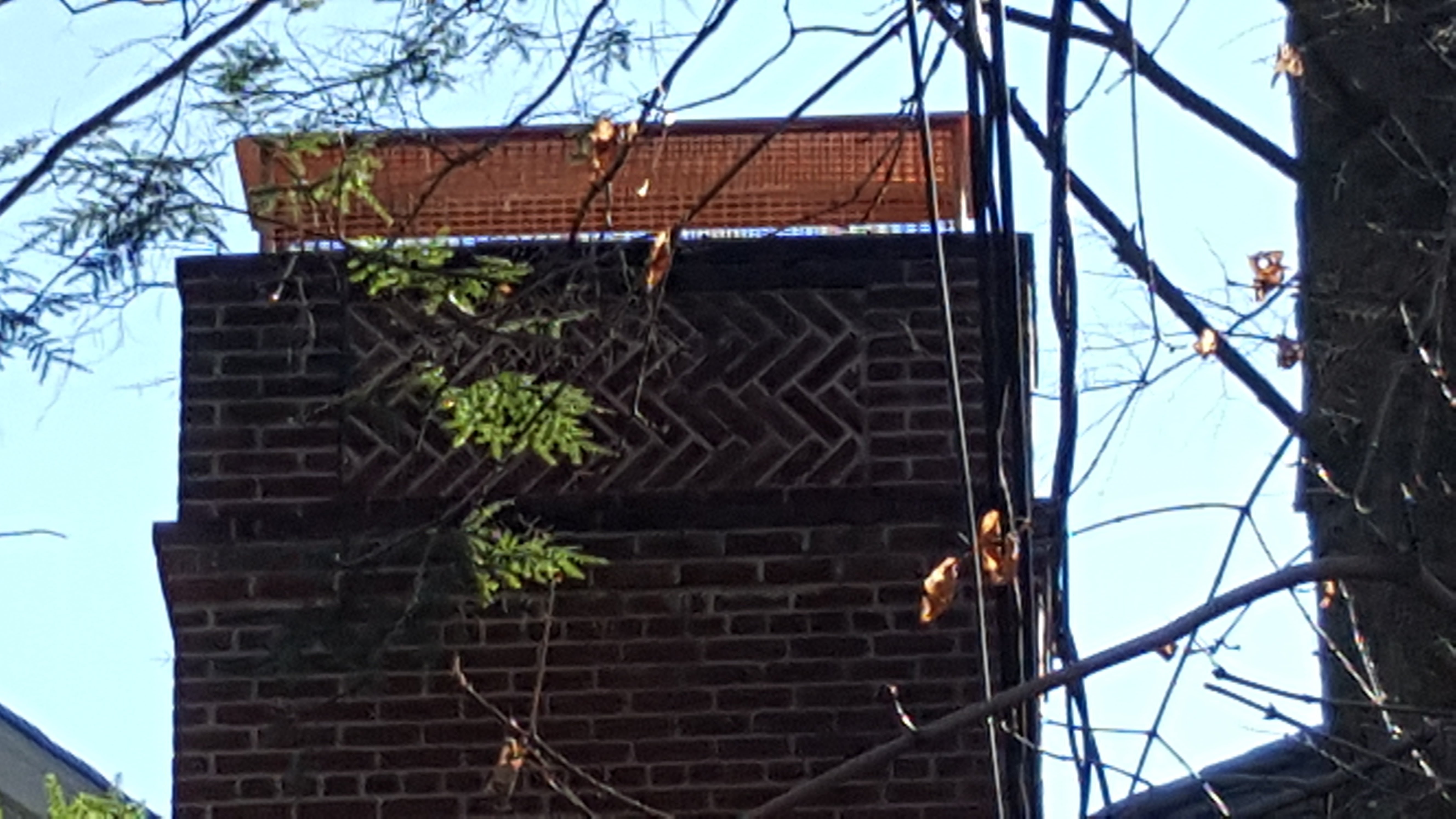 Animal-proof chimney cap protecting home in Syosset, New York